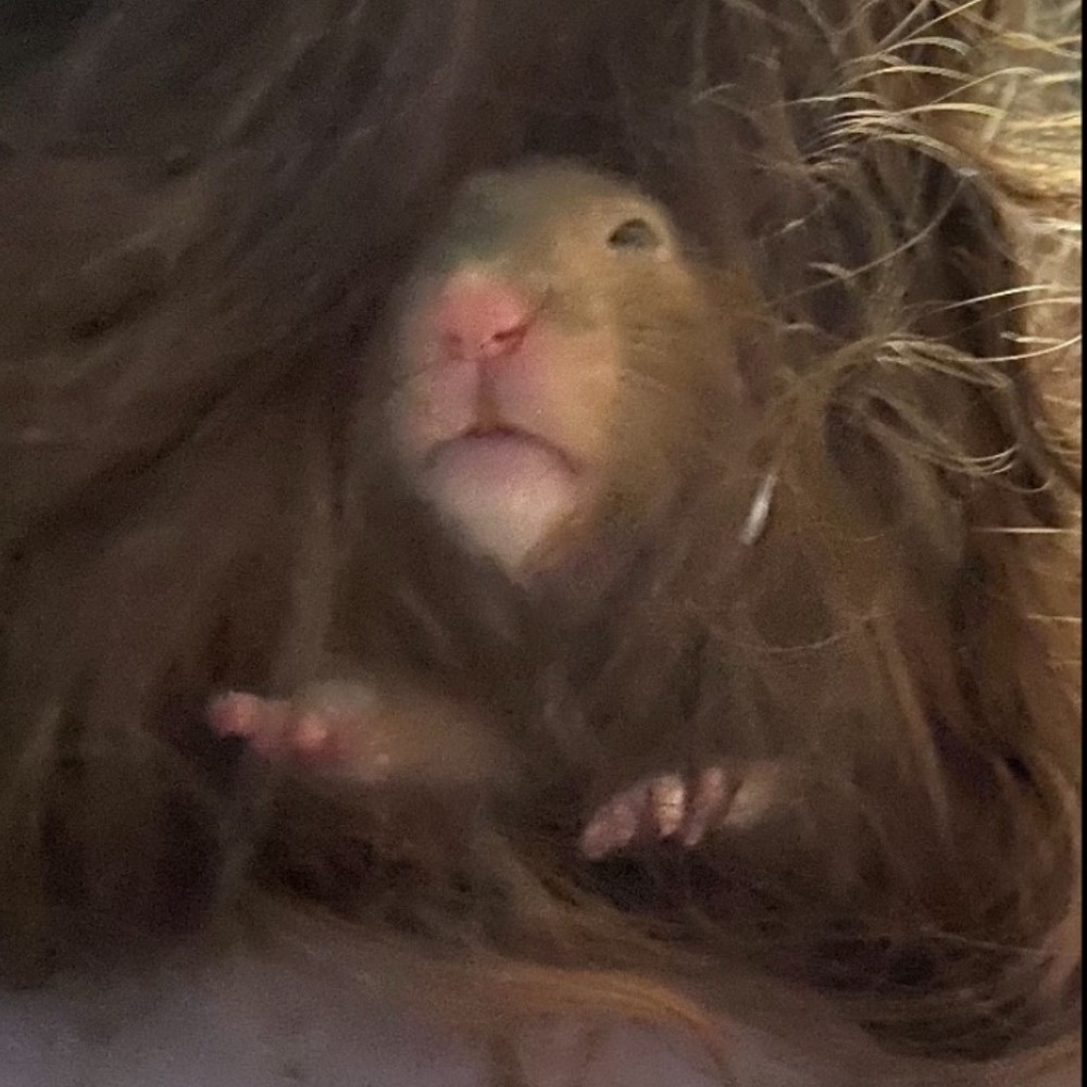 Meet your Posher, Marilyn